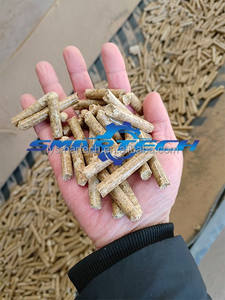 Moulin à granulés vertical à anneau pour <span class=keywords><strong>bois</strong></span> résineux comme la fabrication de granulés de sciure de pin - Product Image 6