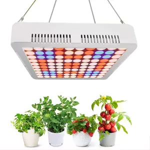 Langlebiges Vollspektrum-LED-Anbaulichter Pflanzen-LED-Anbaulichter mit solider Verpackung für den Innenbereich weiß 90 300 W Led 1000 W 600 W ABS 1200