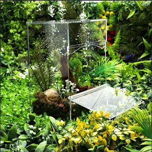 Acryl reptielenbak, miniatuurhabitat voor springspin, acryl container, geschikt voor kleine reptielen en spinnen. - Product Image 4