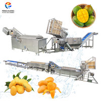 Fengxiang Grote Capaciteit RVS 304 Mango Verwerkingslijn Fruit Groenten Automatische Voedings- Was- en Blancheringsmachine 1