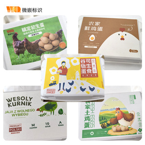 เครื่องพิมพ์อิงค์เจ็ทความเร็วสูงแบบฝังไมโคร WQL500 33ER3 600C4 เครื่องพิมพ์ดิจิทัลสีสำหรับพื้นผิวกระดาษ - Product Image 3