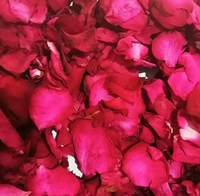 Kelopak Mawar Kering Alami Asal Yunnan, Wangi, untuk Dekorasi Thanksgiving, Hadiah Romantis, Kemasan Indoor/Outdoor