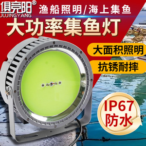 Luz de Pesca Jujingyang de 1000W LED Verde IP67 Impermeable para Uso en Barcos al Aire Libre - Product Image 1