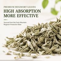 Patch Herbal Personnalisé à l'Armoise OEM, Plâtre Cervical à l'Armoise, Marque Privée, Faible MOQ, Certifié CE Classe I
