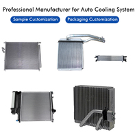 TONGSHI - Núcleo de Calefacción de Aluminio para Kia Amanti 2004-2009, Compatible con Opirus (GH) 2004-2009