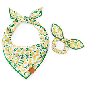 وشاح للحيوانات الأليفة من القطن 100% بطبقات مزدوجة مُخصصة, مجموعة متناسقة مع الملابس - Product Image 2