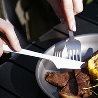 Ensemble de couverts en titane pur quatre pièces pour le camping, les pique-niques et les activités de plein air - Antibactérien, résistant à la moisissure, design minimaliste, couteau, fourchette