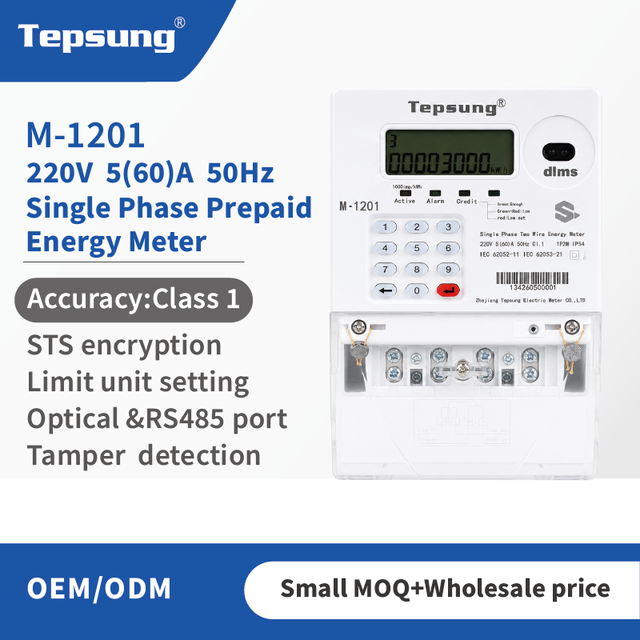 Tepsung M-1201 220V 5/80A STS Single Phase Two-Wire Prepaid Energy Meter with Keypad 50/60Hz Class1