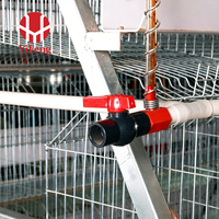 Cage à poussins de type A, système de cage galvanisée durable conçu pour les projets d'élevage de poulets, fabricant d'équipements d'élevage avicole