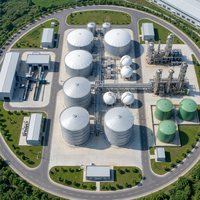 Réservoir de Fermentation Anaérobie, Digesteur de Biogaz, Réacteur pour le Traitement des Eaux Usées et des Boues, Système d'Équipement Industriel