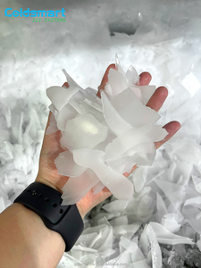 Machine à glace en flocons Coldsmart 1 tonne/24 heures pour marché <span class=keywords><strong>de</strong></span> poissons, <span class=keywords><strong>restaurant</strong></span>, haute productivité, fabrication automatique <span class=keywords><strong>de</strong></span> glace en flocons à l'eau salée - Product Image 4