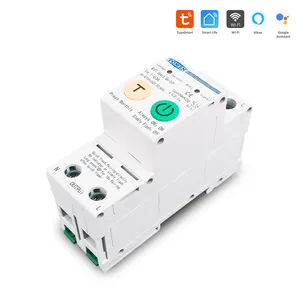 63A Smartlife Single Phase WIFI Smart Switch Energy Meter Kwh Metering Monitoring Circuit Breaker Timer Relay MCB TUYA