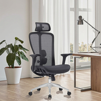 Chaise de bureau moderne en maille à dossier haut avec support lombaire réglable accoudoir réglable ordinateur de luxe exécutif pivotant ergonomique