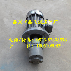 Ensemble de pompe à huile pour engrenages verticaux et horizontaux LWBZ-80 LWBZ-100 LWBZ-125, moteur YE2 112M-4 4KW, pompes hydrauliques - Product Image 1
