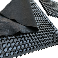 30mm HDPE feuille de plastique fossette plaque de vidange sous-sol pavage panneau de cellules pour toit jardin Geo Sythetics terrassement meilleur prix