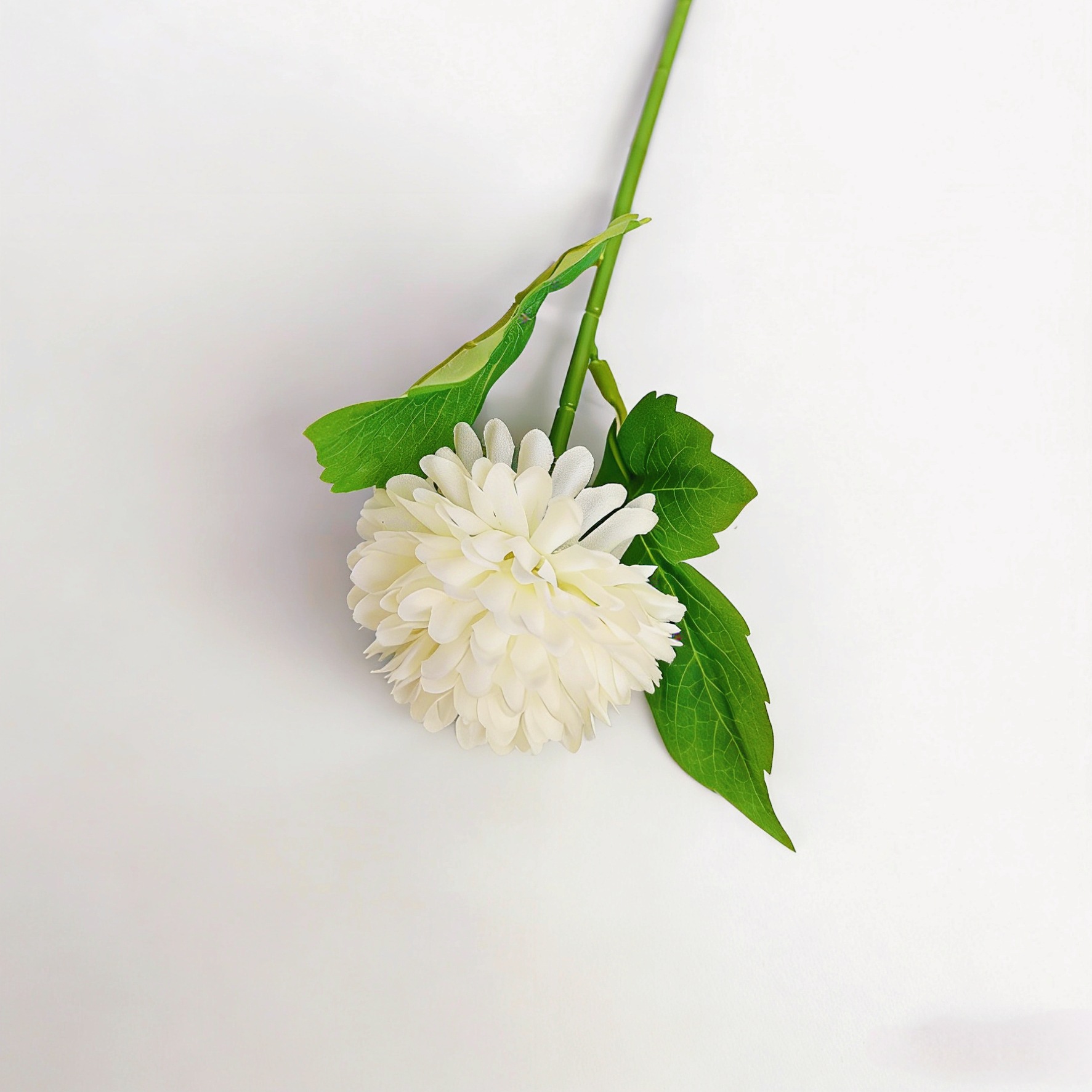 Tige unique blanc cassé avec feuilles