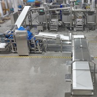 Chaîne de traitement des fruits et légumes LWT : Friteuse, Laminoir à pâte, Mélangeur, Four de cuisson, Pasteurisateur – Automatique, Haute Efficacité, Grande Capacité
