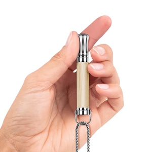 2025 Stainless Steel Easy Quit Smoking Cessation Inhaler Natural Fruit Essential Oil <b>Diffuser</b> Breathing Relieve Anxiety Necklace - Product Image 4