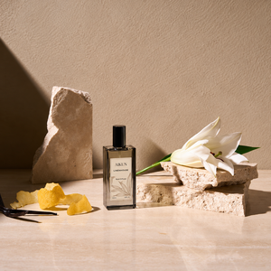 Ensemble de parfums d'intérieur Aikun Glass 5 pièces, bougie de 200 g, vaporisateur d'ambiance de 100 ml, flacon de parfum de 100 ml, diffuseur à bâtonnets de 200 ml, huile parfumée de 30 ml - Product Image 2