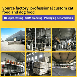 <span class=keywords><strong>Nourriture</strong></span> pour chats Pet Joy lyophilisée sans céréales, riche en protéines, poulet, saumon, jaune d'œuf, améliore la santé <span class=keywords><strong>gastro</strong></span>-intestinale, paquet de 5 lb - Product Image 5