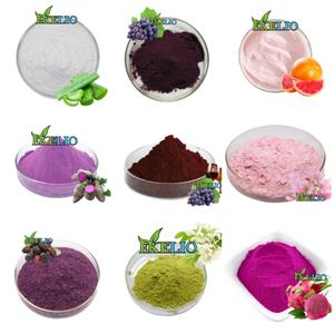 Crisantemo naturale sfuso tè crisantemo buon gusto boccioli di crisantemo - Product Image 3