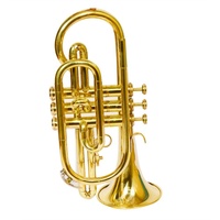 Brass Cornet Finish B Flat Profesionl With Case Trumpet Musical Instrument