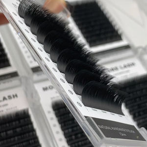 Ellips Extension de <span class=keywords><strong>Cils</strong></span> Plats <span class=keywords><strong>Ellipse</strong></span> Extensions de <span class=keywords><strong>Cils</strong></span> Plateaux Extensions de <span class=keywords><strong>Cils</strong></span> Classiques Cil a Cil - Product Image 1