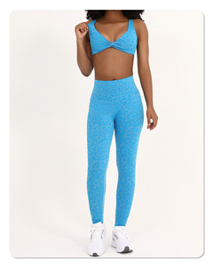 Logo Customized Two Pieces Womens Seamless <strong>Leggings</strong> and Bra Set <strong>Leopard</strong> <strong>Print</strong> Women's Sports Yoga Set Gym Sets Clothing Women - Product Image 6