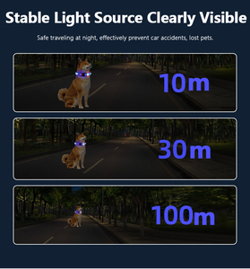 SinSky-Conjunto de <span class=keywords><strong>collar</strong></span> de correa de perro LED para mascotas, correas brillantes impermeables de PVC, correa de <span class=keywords><strong>collar</strong></span> de perro Led para mascotas, seguridad para caminar de noche - Product Image 6