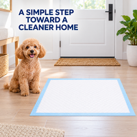 Tapis de toilette jetables pour chiens, fourniture d'usine, couche non tissée à absorption rapide, noyau super absorbant, protection de sol imperméable