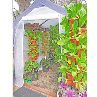 Fraise empilable en bois, jardinage Vertical pour l'intérieur et l'extérieur, herbes, fleur et légumes