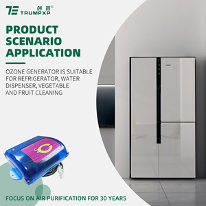 TCB-126 High Quality AC 220v 300mg/hr <strong>Ceramic</strong> Tube Water Ozone Generator for Spa Pool Shower Sauna - Product Image 2