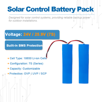 Pack de batteries 18650 pour système de suivi solaire, batterie au lithium de secours 24V / 25.9V avec BMS, alimentation de remplacement