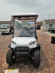 Barato coche de golf de doble asiento 4 plazas coche de Club eléctrico carrito de golf asequible 2 plazas mini coche de turismo golf - Product Image 2