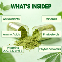 Capsules de protéines végétales naturelles de Moringa, marque privée OEM, végétariennes |   Capsules de poudre de Moringa pour lutter contre les radicaux libres