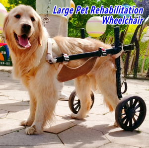 Chariot de Mobilité Réglable pour Animaux de Compagnie, Fauteuil Roulant de Soutien des Pattes Arrière pour Chiens, Aide à la Marche et à l'Entraînement, Cadre en Maille Beige - Product Image 3