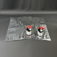 Personnalisé 3L 5L 10L Sac à bavette métallisé dans une boîte de boissons bière vin boîte d'emballage stockage d'eau sans Bpa pochette sac distributeur de café
