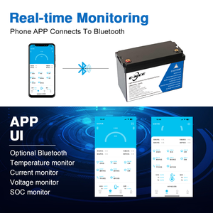 E-nice OEM Lifepo4 pil 12v 24v 36v 48v güneş pil Battery 200ah otomatik şarj edilebilir lityum iyon Lifepo4 piller - Product Image 4