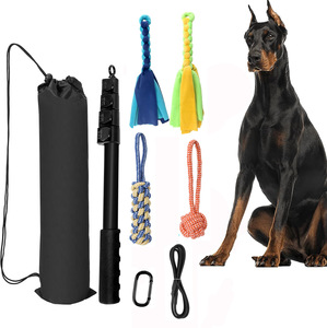Hoge Kwaliteit Sporter Interactief Huisdier Speelgoed Training Trekken Honden Oefenapparatuur Uitschuifbare Flirtstok - Product Image 1