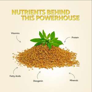 OEM 100% <span class=keywords><strong>Huile</strong></span> <span class=keywords><strong>de</strong></span> <span class=keywords><strong>fenugrec</strong></span> naturelle pure <span class=keywords><strong>Huile</strong></span> <span class=keywords><strong>de</strong></span> support <span class=keywords><strong>de</strong></span> graines <span class=keywords><strong>de</strong></span> <span class=keywords><strong>fenugrec</strong></span> en vrac <span class=keywords><strong>pour</strong></span> raffermir l'<span class=keywords><strong>huile</strong></span> d'amélioration du gros buste et du sein - Product Image 3