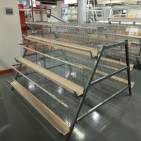 Système de cages pour poulets de type batterie à haute efficacité pour une production d'œufs optimisée