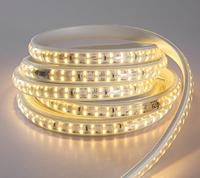 Bande lumineuse LED SMD5730 haute luminosité, étanche, 50 mètres, 100 mètres, 110V, 120V, 220V, flexible et intelligente