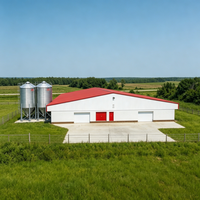 Bâtiment avicole moderne en structure acier, résistant au vent et aux tremblements de terre, personnalisable
