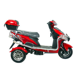 Tricycle Électrique 800 W <span class=keywords><strong>2022</strong></span>, <span class=keywords><strong>Moto</strong></span> Électrique d'Extérieur à <span class=keywords><strong>3</strong></span> <span class=keywords><strong>Roues</strong></span> pour Adultes et Personnes Âgées - Product Image 2