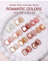 Collection de vernis à ongles effet œil de chat Jelly Cat, sans HEMA, sans TPO, vernis à ongles magnétique 9D effet œil de chat pour professionnels