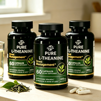 Capsules de L-Théanine Pure Végétalienne 200mg 400mg 60, Complément Herbal Naturel, Aide à Soulager le Stress, Vente en Gros OEM Usine Marque Privée