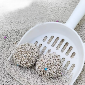 Nhà Sản Xuất OEM 100% Tự Nhiên Sodium Bentonite Cát Cát Cao Cấp Bụi Miễn Phí Đất Sét Kitty Lứa Mạnh Mẽ <span class=keywords><strong>Clumping</strong></span> Dễ Dàng Phân Hủy Sinh Học - Product Image 1