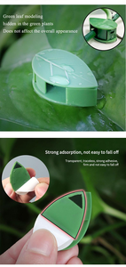 Clip mural auto-adhésif <span class=keywords><strong>pour</strong></span> plantes grimpantes, fixation <span class=keywords><strong>pour</strong></span> feuilles, rotin et lianes, boucle de maintien, crochet de traction, clips de jardin - Product Image 2