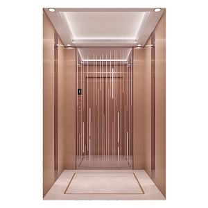 <span class=keywords><strong>Ascenseur</strong></span> domestique fabriqué en Chine, design gain <span class=keywords><strong>de</strong></span> place, capacité 300 kg, intérieur luxueux, petit <span class=keywords><strong>ascenseur</strong></span> pour <span class=keywords><strong>maison</strong></span> - Product Image 1