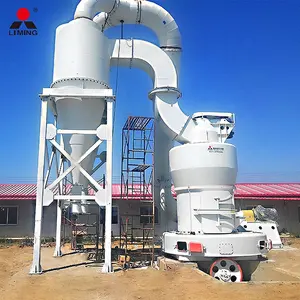 Machine à broyer la farine de pierre Bentonite calcaire Quartz Raymond Mill Stone Mills Grinder Vente en Chine